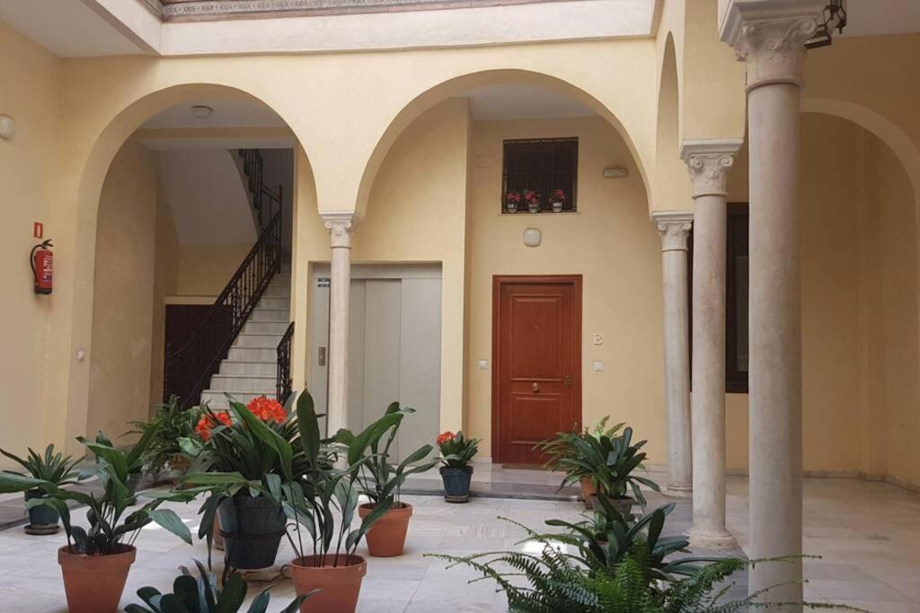 Apartment Loft Nuevo Y Con Encanto A Tres Mnt Catedral Aa Wifi Sevilla