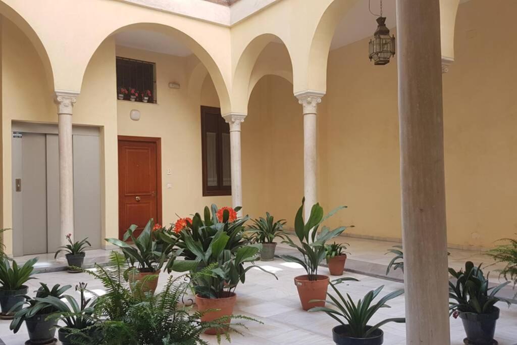 Apartment Loft Nuevo Y Con Encanto A Tres Mnt Catedral Aa Wifi Sevilla